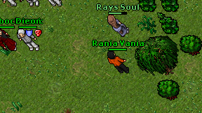 Rania Vania on screen