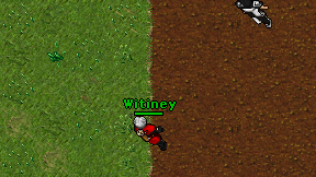 Witiney on screen