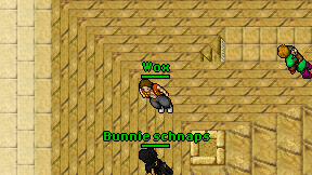 Wox on screen