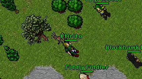 Ktirito on screen