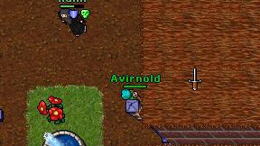 Avirnold on screen