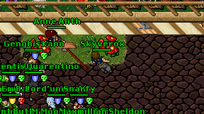 Skyverox on screen