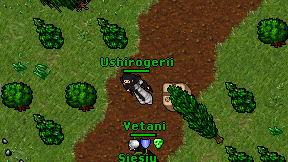 Ushirogerii on screen