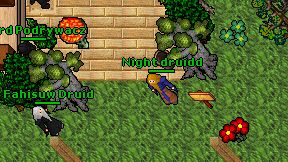 Night druidd on screen