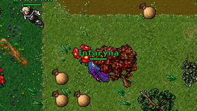Infaryna on screen