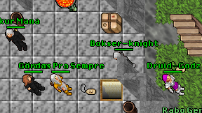 Bokser-knight on screen