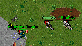 Promcio on screen