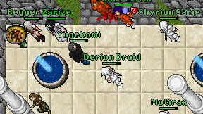 Derion Druid on screen