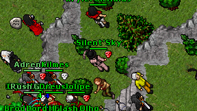 Silent'Sky on screen