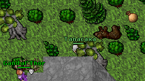 Tanacaxa on screen