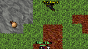 Rik tags on screen