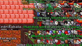 Wizimopo on screen