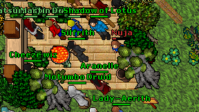 Aranelle on screen