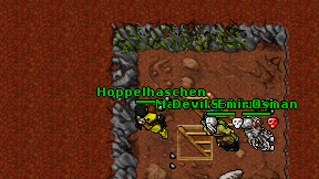 Hoppelhaschen on screen