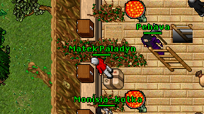Matek Paladyn on screen
