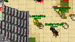 Luntelito on screen