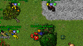 Hanabarian on screen