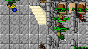 Sakahot on screen