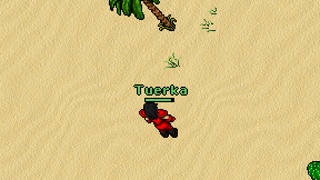 Tuerka on screen
