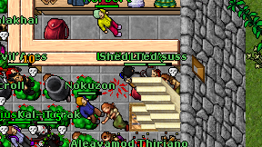 Ludicraidison on screen