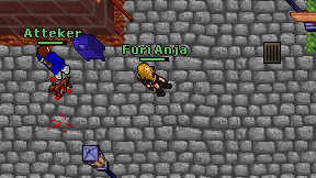 Furi Anja on screen