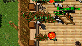 Lotrih on screen