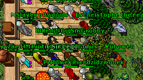 Ringut on screen