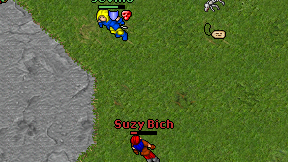 Suzy Bich on screen