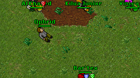 Ophrid on screen