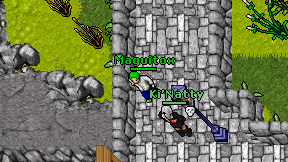 Maguitox on screen