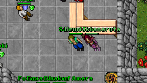 Samuri Ice on screen