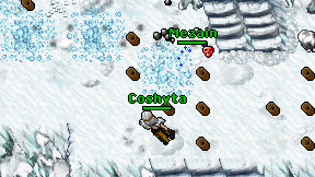Coshyta on screen