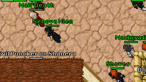 Nehova Nien on screen