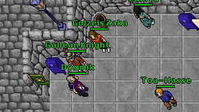 Golzeis Zaka on screen