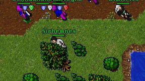 Sirhemnes on screen