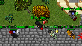El gallego on screen