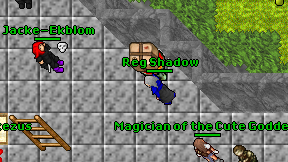 Reg Shadow on screen