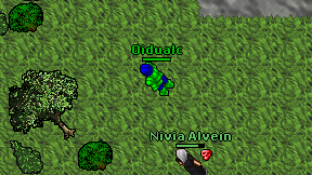 Oidualc on screen