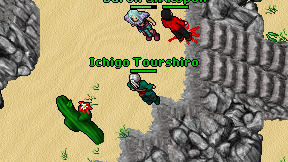 Ichigo Tourshiro on screen