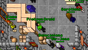 Freksun Druid on screen