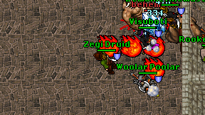 Zegi Druid on screen