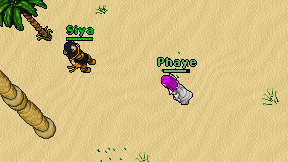 Phaye on screen