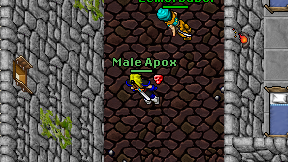 Male Apox on screen