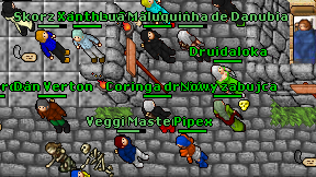 Veggi Master on screen