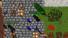 Nahubomi on screen
