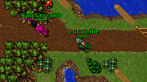 Lord Lille on screen