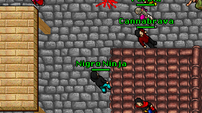 Nigro Ninja on screen