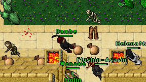 Bambe on screen