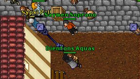 Dientons Aquas on screen