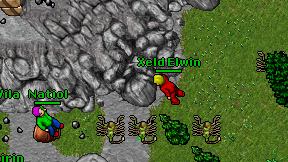 Xeld Elwin on screen